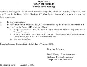 Icon of 20090813 Special Town Meeting Agenda